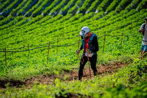 BIB: 
                            <button type="button" onclick="openModal(19161397)" class="btn btn-primary btn-sm float-right btn-popup" data-toggle="modal" data-target=".modal-high-quality">
                        <i class="fas fa-shopping-cart"></i> Add to Cart
                    </button>
                                            <button type="button" onclick="isThisMe(19161397, true)" class="btn btn-success btn-sm float-right btn-popup btn-isme hidden" data-toggle="tooltip" data-placement="bottom" title="นี่คือรูปของคุณใช่ไหม คลิกที่นี่เพื่อเอาเข้าอัลบั้ม">
                        <i class="fas fa-plus"></i> Add to album
                    </button>
                    <button type="button" onclick="isThisMe(19161397, false)" class="btn btn-warning btn-sm float-right btn-popup btn-isnotme hidden">
                        <i class="fas fa-ban"></i> Remove from album
                    </button>